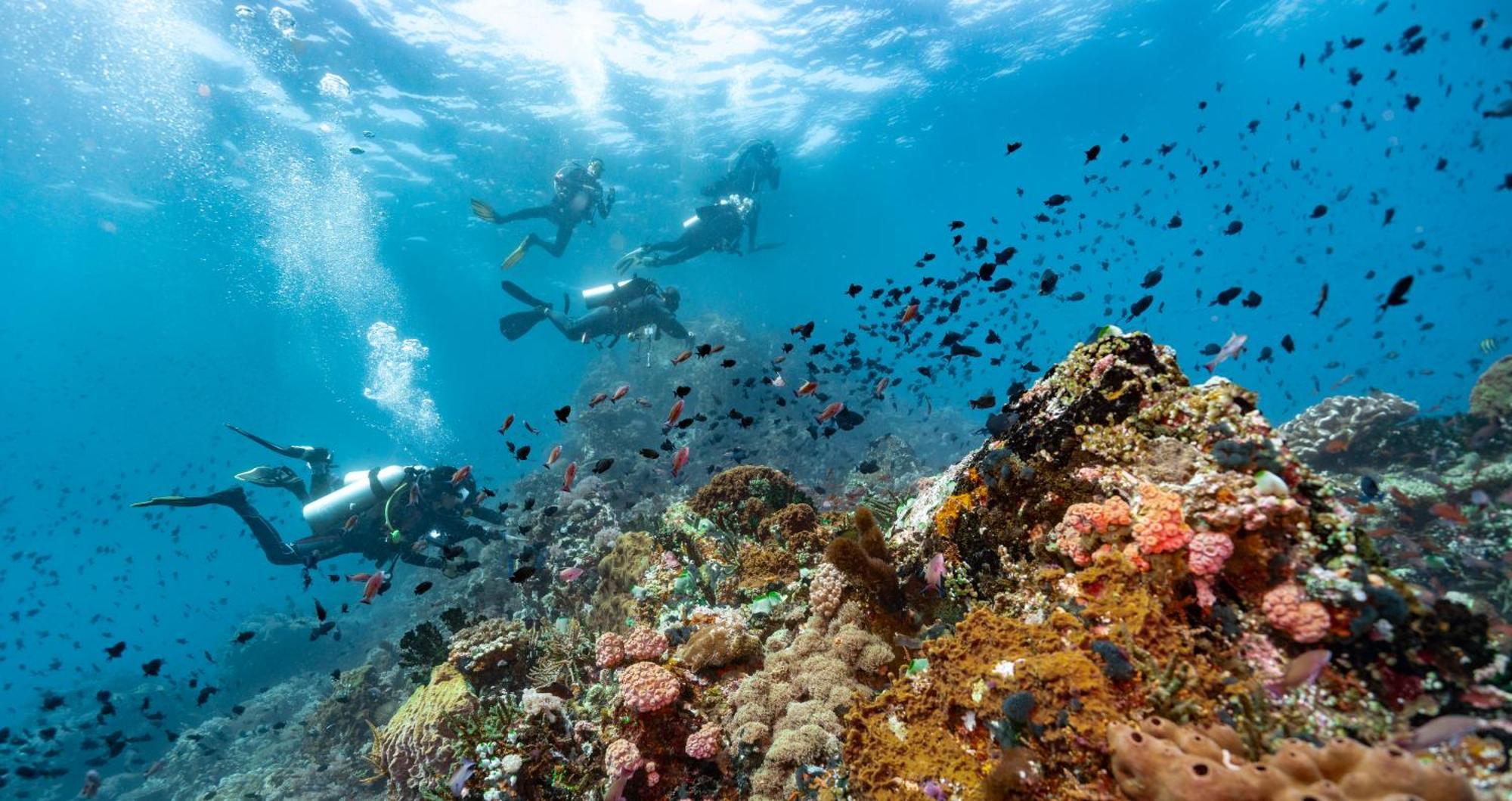 Casalay Boutique Villas & Dive Пуэрто-Галера Экстерьер фото